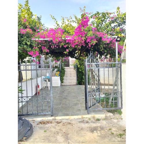 σπίτι - αγρόκτημα - Δ Γεωργά Χατζηράση οδός Χατζηράση