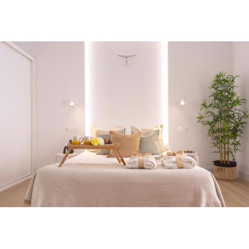 -MalagaSunApts- CityCenter Spacious Studio