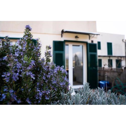034 - Casa Teresa 7 minuti dal MARE, nel VERDE DI FINALE
