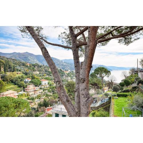 1 Bedroom Awesome Apartment In Rapallo