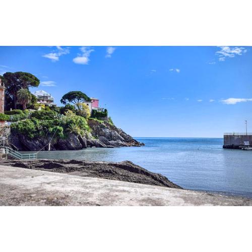 1 Bedroom Pet-Friendly Apartment In Nervi