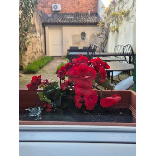 19 Borgo Cavour