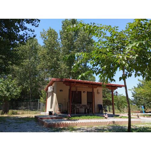 Γαλήνη1
