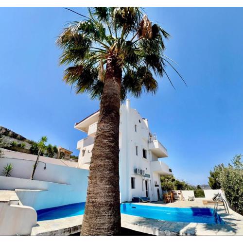 2 bedroom self-contained apartment and swimming pool at Palm Tree Villa