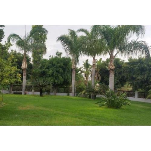 3-Bedroom House Near the Beach
