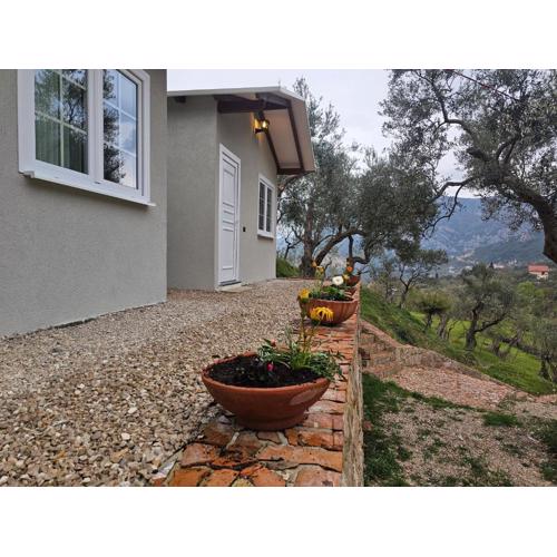 3 Bungalows at Mali Camping Kruje