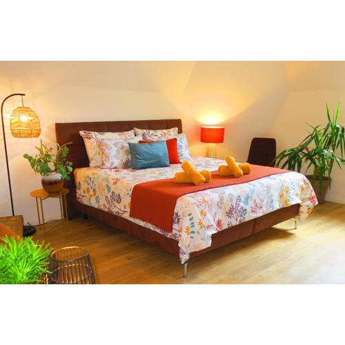3-Zimmer-Appartement in Privatvilla, Meran Zentrum, Kostenloser Parkplatz mit Gästekarte