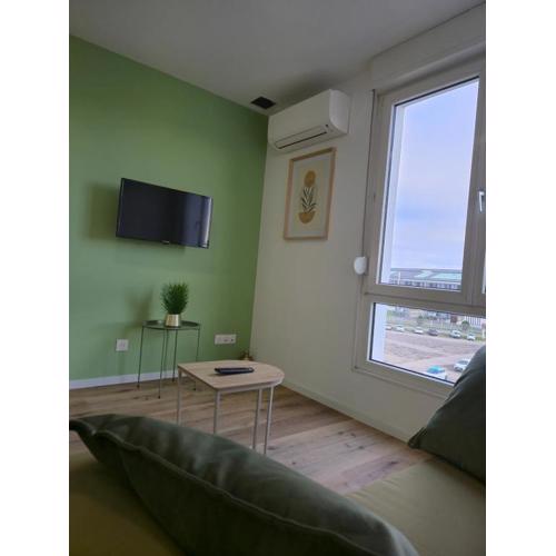 303 - Strasbourg appartement Green refait à neuf