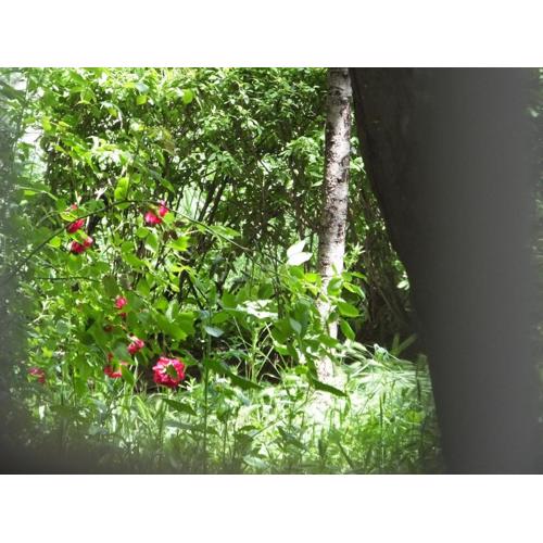 34 Yüksel Garden