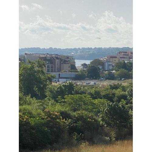 Апартамент Сони 3