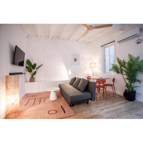 44poc1062 - Studio newly decorated in Poble Sec