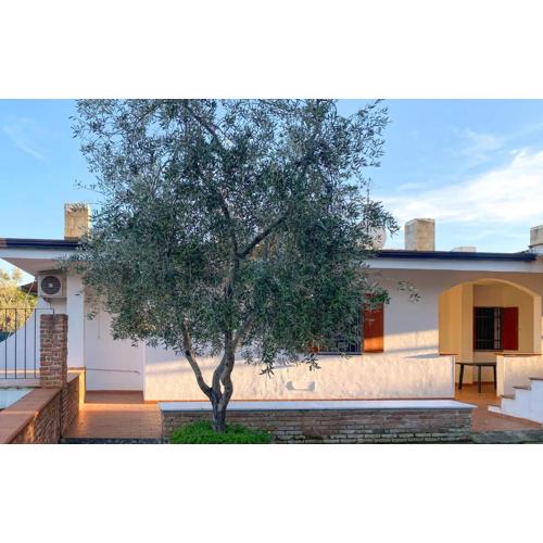 5 Bedroom Pet Friendly Home In Vieste