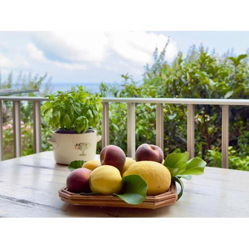 550 mt dal mare - Balcone e Vista Mozzafiato