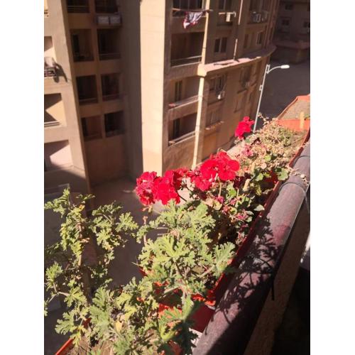 كمبوند سما القاهرة