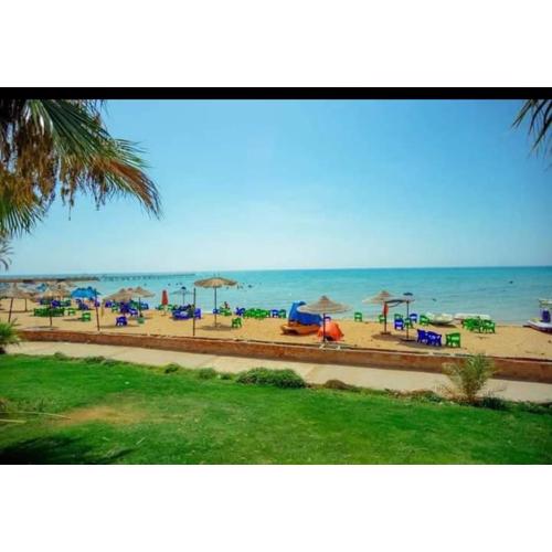 لاسرينا ميني ايجيبت