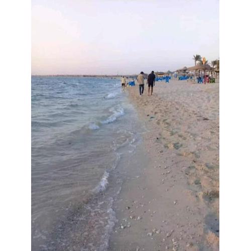 قرية النورس مكتب السعد