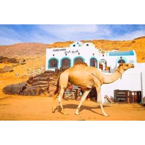 قارب اسوانى