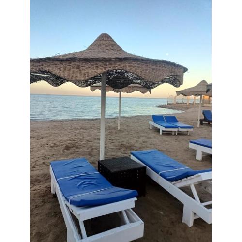 كازابلانكا ستار