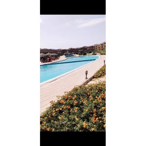 قريه ماليبو الزعفرانه