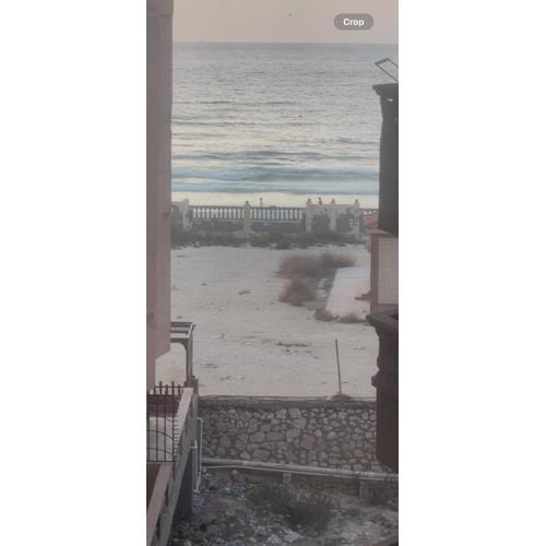 نسيم البحر