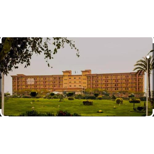 نزل الشباب