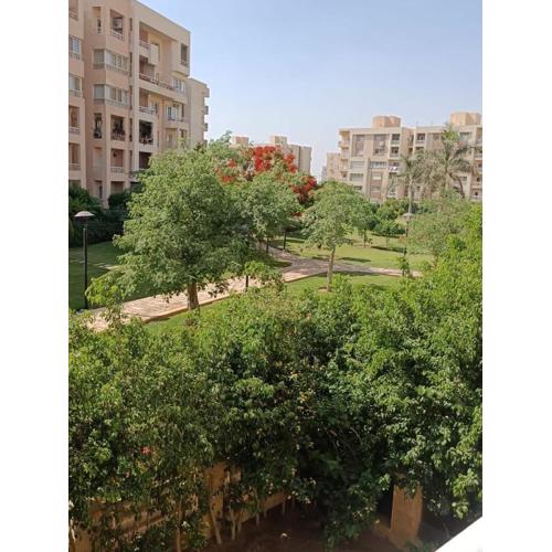 مدينتى القاهره الجديده
