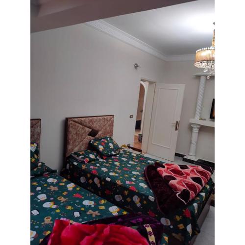 مدينه نصر عمارات ميلسا امام ستي ستارز