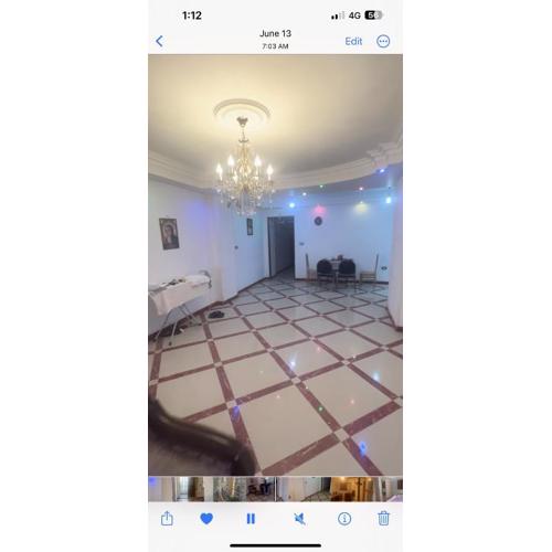 عذراء الزيتون