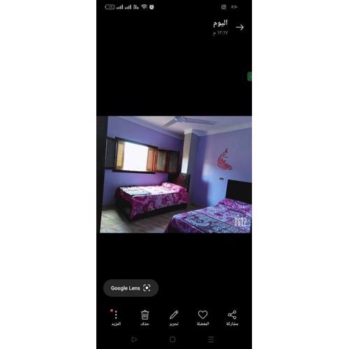 عمارة الحاج عادل فاروق
