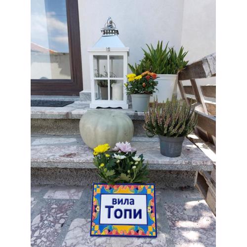 вила Топи