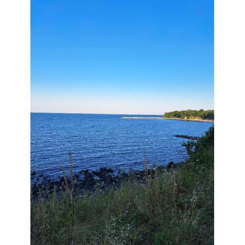 Комплекс Джулай Морнинг