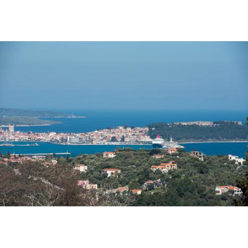 Μυτιλήνη Ταξιάρχες