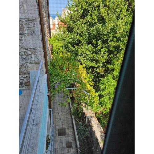 Οικοδέσποινα