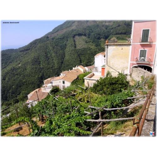 A casa di nonna Elvira