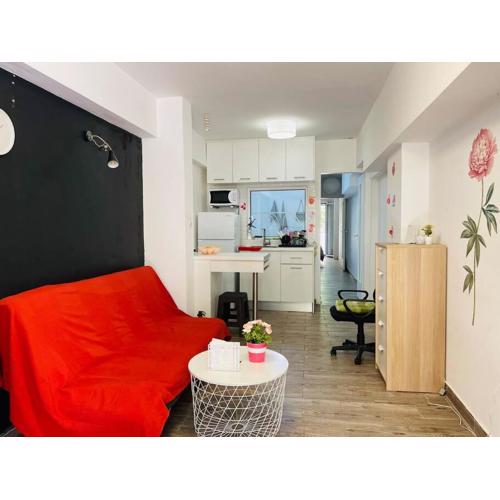 A comfortable apartment to you
