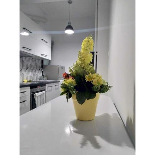 A convenient apartment in the heart of Athens