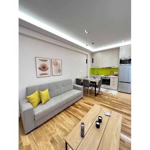 A fully renewed modern apartment