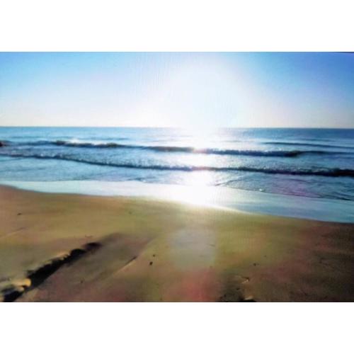 Acapulco IV