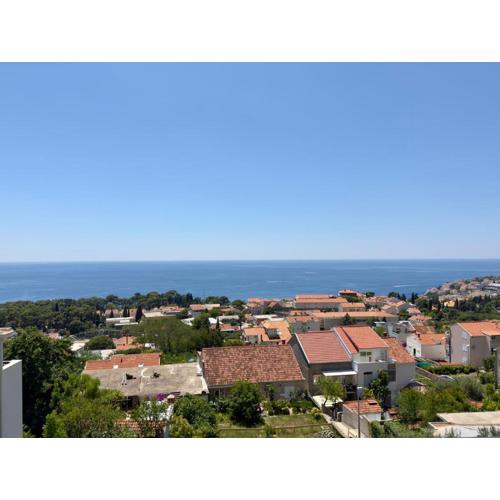 Accommodation Đivanović with sea view