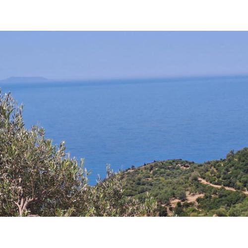 Adriatik Apartments AA