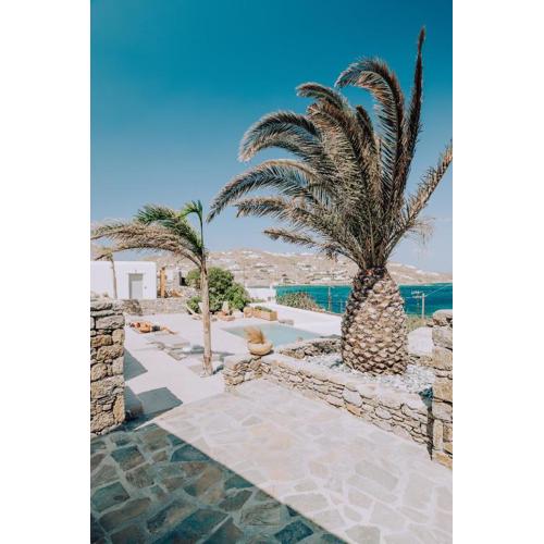 Aelia Mykonos