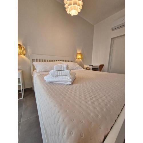 Aequora Suite