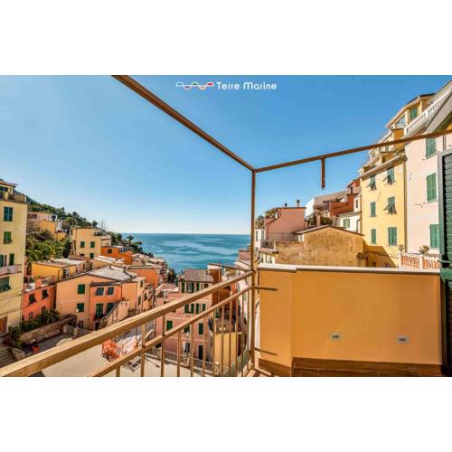 Affittacamere Paradise, Terre Marine