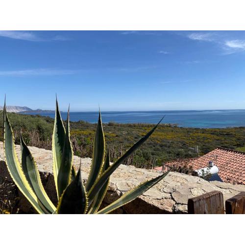 AffittaSardegna- Casa Costa