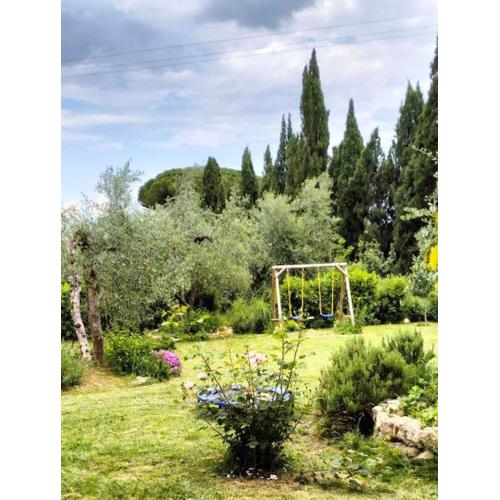 Agli Olivi di Marciano