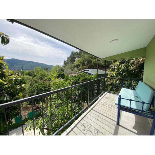 AGORA Evi 2