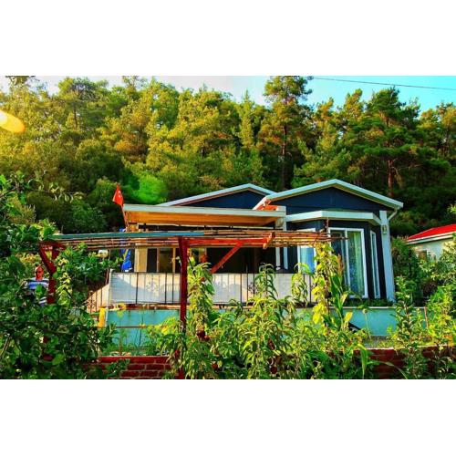 AGORA Evi