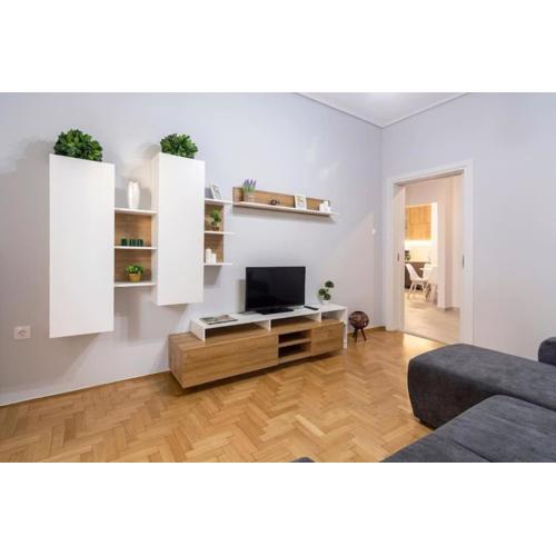 Agriniou cozy apartment