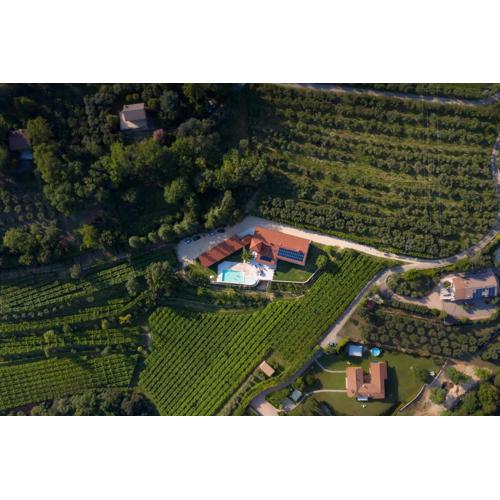 Agriturismo Ai Dossi