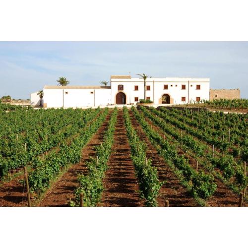 Agriturismo Baglio Donnafranca Wine Resort